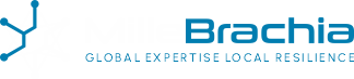 Millebrachia